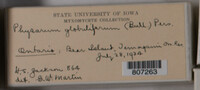 Image Associated With the Occurence